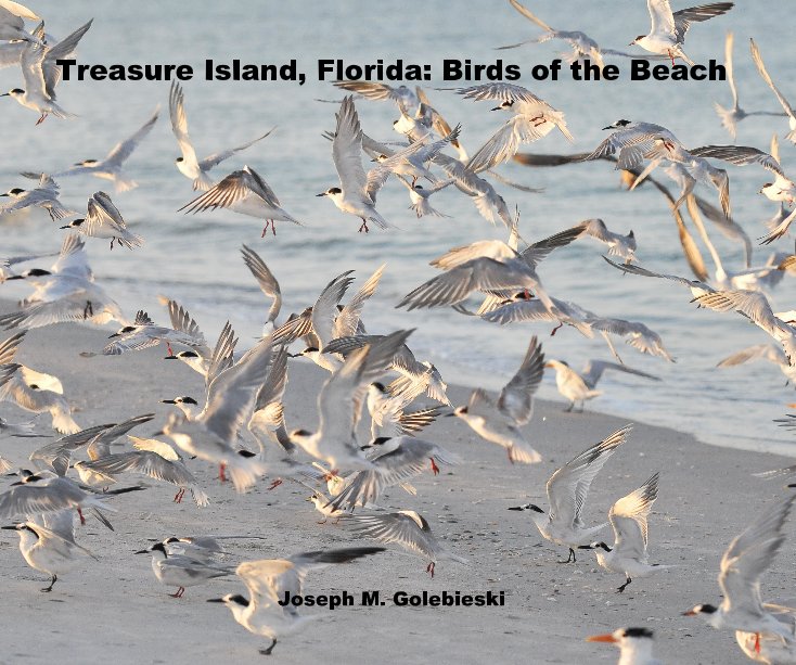 Ver Treasure Island, Florida: Birds of the Beach 2012 por Joseph M. Golebieski