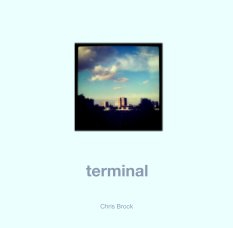 terminal book cover