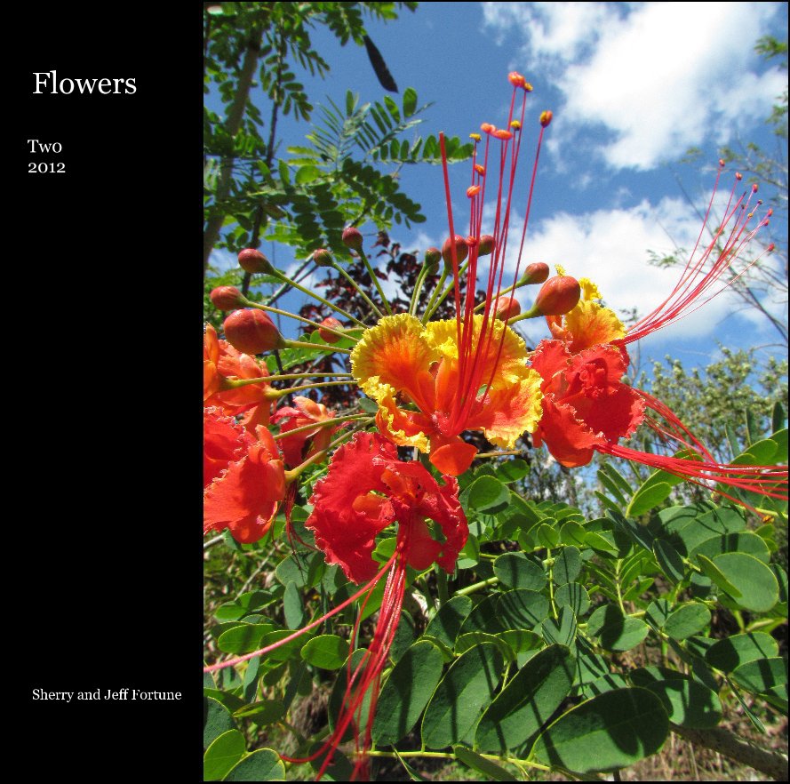 Ver Flowers por Sherry and Jeff Fortune