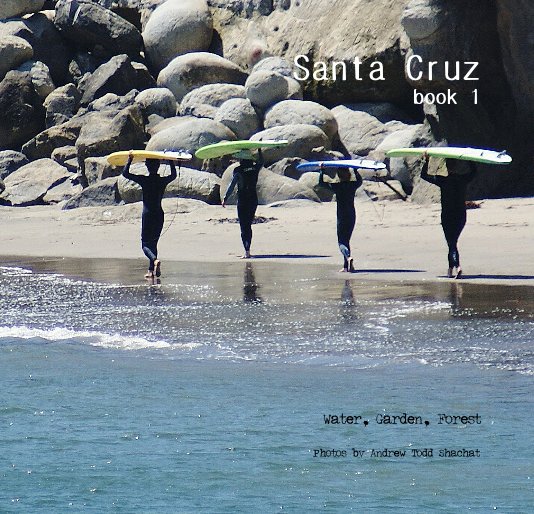 Visualizza Santa Cruz book 1 di Photos by Andrew Todd Shachat