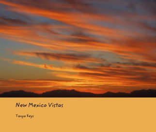 New Mexico Vistas book cover