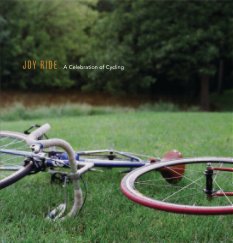 Joy Ride book cover