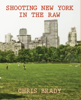 Shooting New York In The Raw book cover
