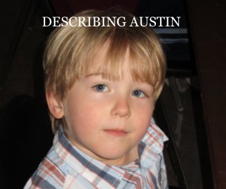 DESCRIBING AUSTIN book cover