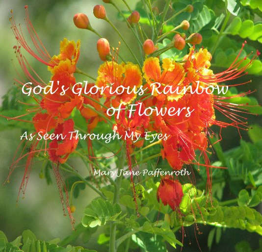 View God's Glorious Rainbow of Flowers by Mary Jane Paffenroth