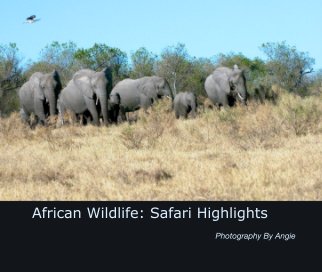 African Wildlife: Safari Highlights book cover