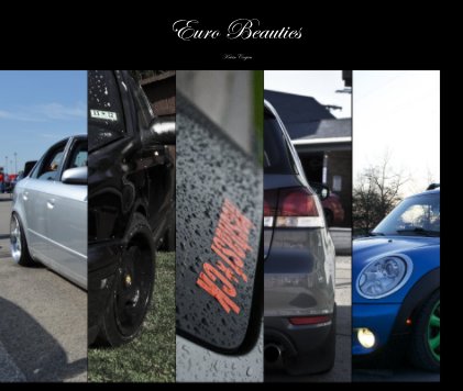 Euro Beauties book cover