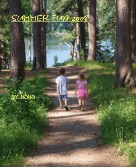 SUMMER FUN 2008 book cover