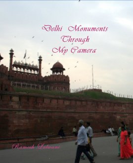 Delhi Monuments Through My Camera book cover