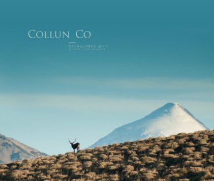 Collun Co - red stag book cover