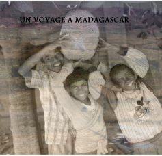 Un voyage à Madagascar book cover
