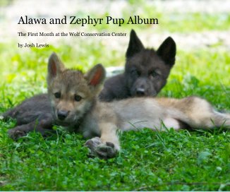 Alawa and Zephyr Pup Album book cover