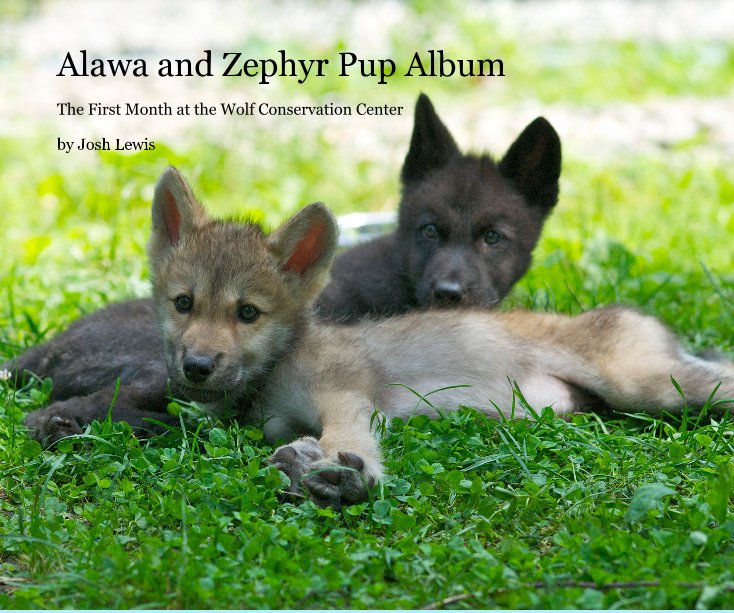 View Alawa and Zephyr Pup Album by Josh Lewis