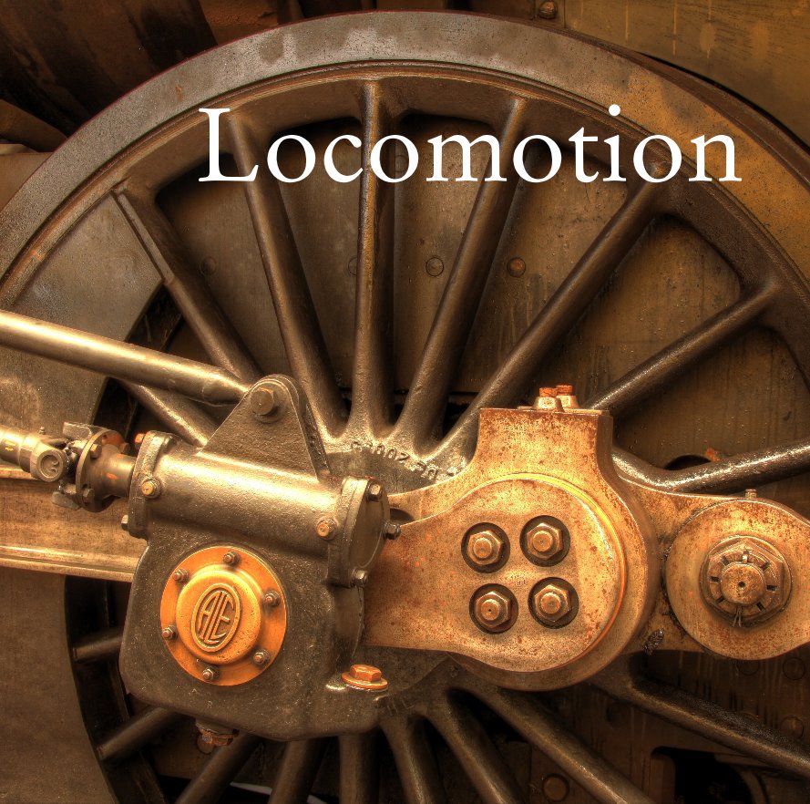 View Locomotion by arras