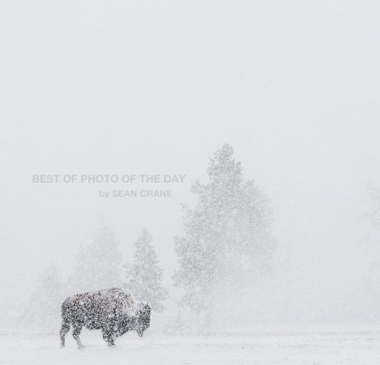 View BEST OF PHOTO OF THE DAY by SEAN CRANE