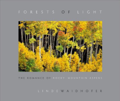 Forests of Light book cover