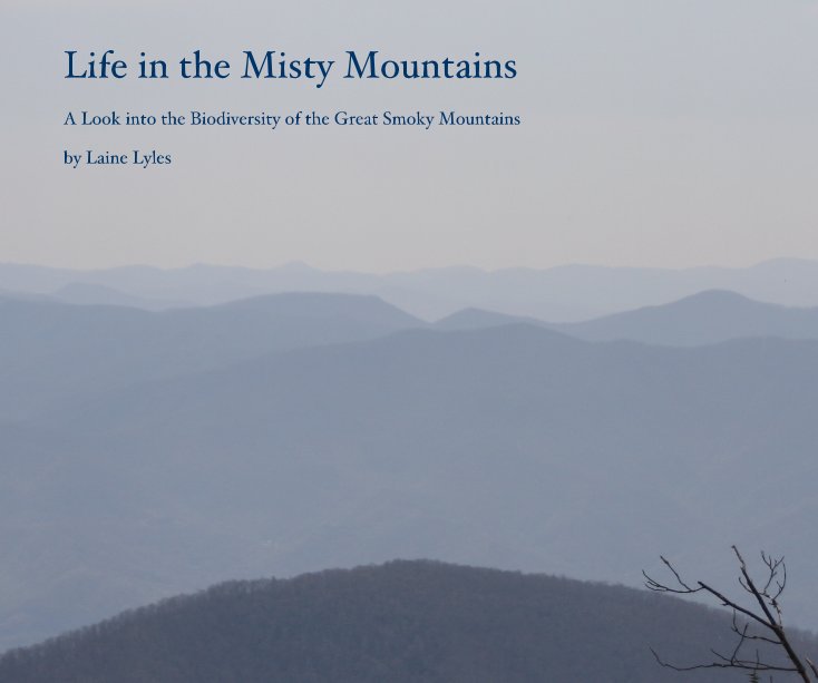 View Life in the Misty Mountains by Laine Lyles