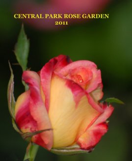 CENTRAL PARK ROSE GARDEN 2011 book cover