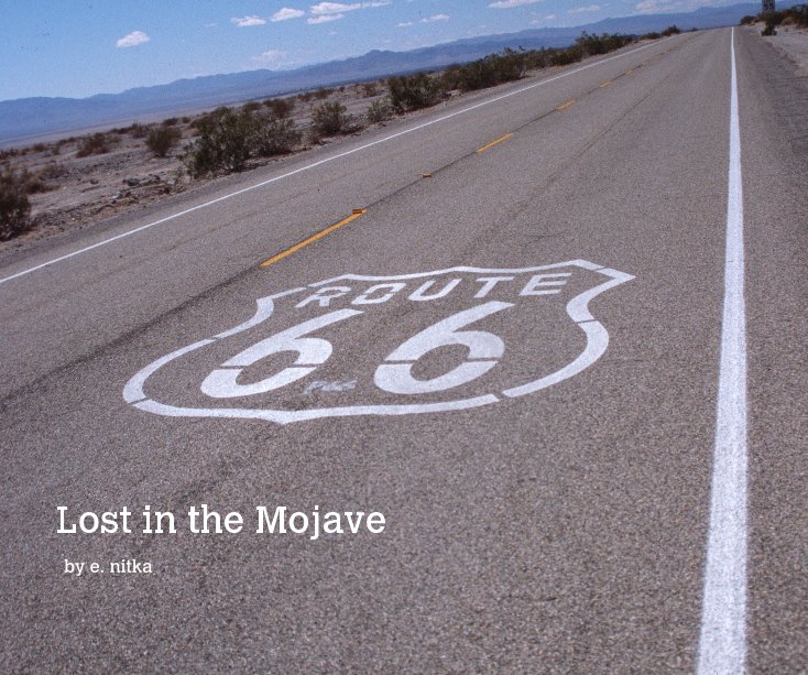 View Lost in the Mojave by e. nitka