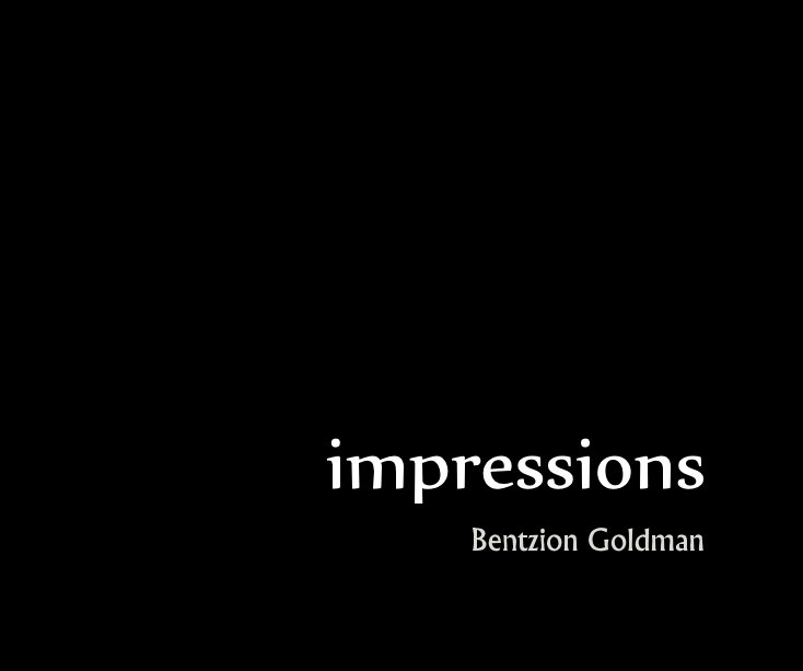 View impressions by Bentzion Goldman
