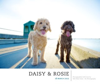Daisy & Rosie book cover
