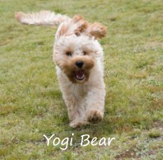 Yogi Bear 2012 book cover
