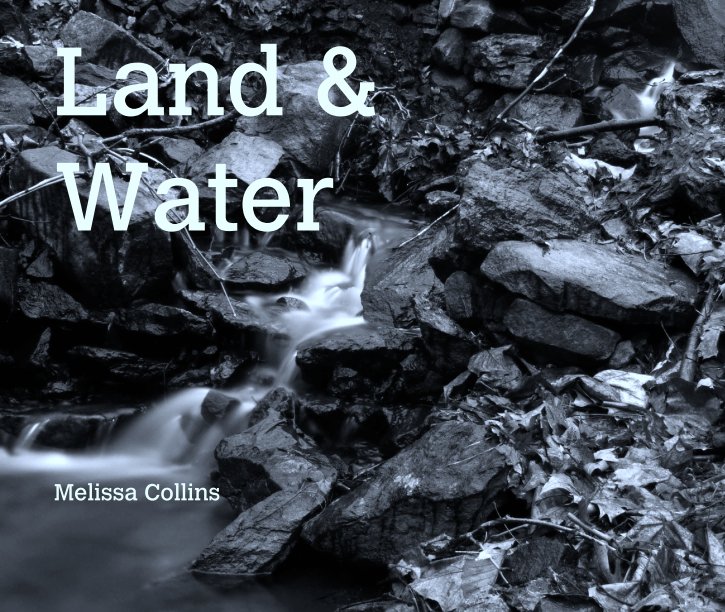 View Land & 
Water by Melissa Collins
