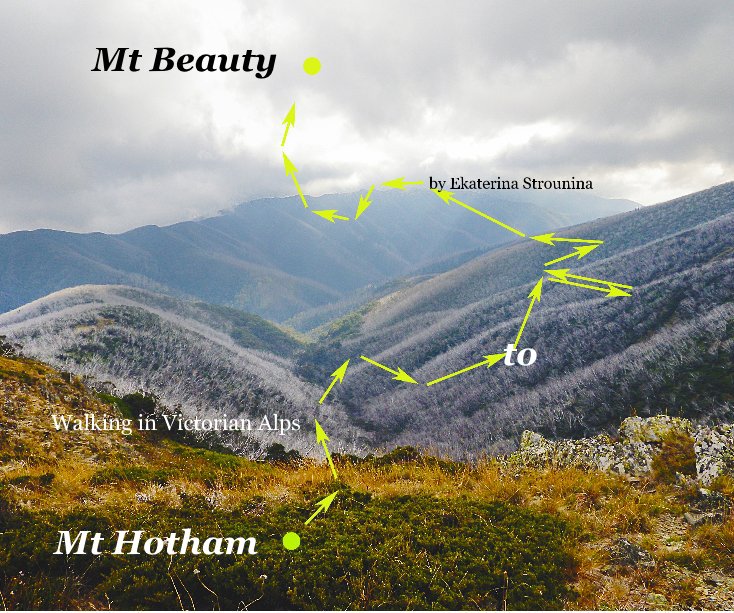 View Mt Hotham to Mt Beauty by Ekaterina Strounina