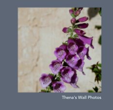 Thena's Wall Photos book cover