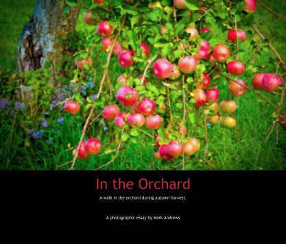 In the Orchard book cover