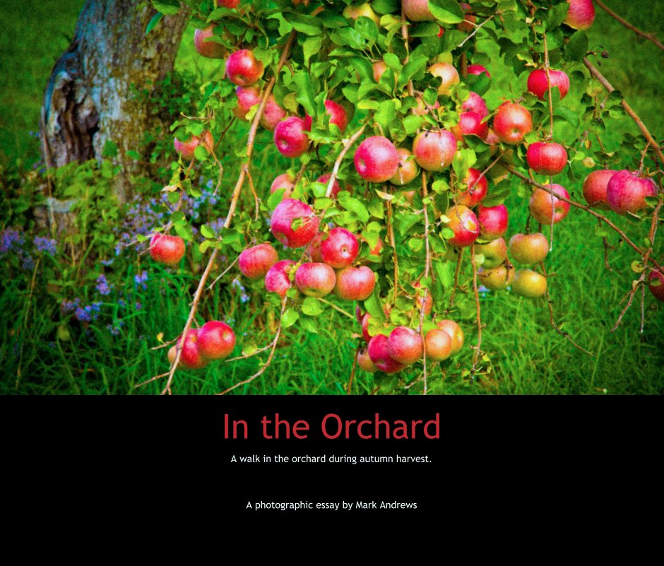 Ver In the Orchard por Mark Andrews