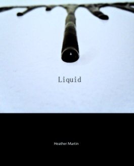 Liquid Project 
Indiana University 2012 book cover