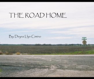 THE ROAD HOME book cover
