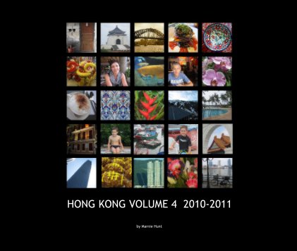 HONG KONG VOLUME 4 2010-2011 book cover