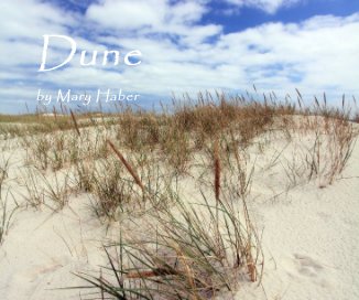 Dune by Mary Haber book cover