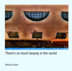 There's so much beauty in the world book cover