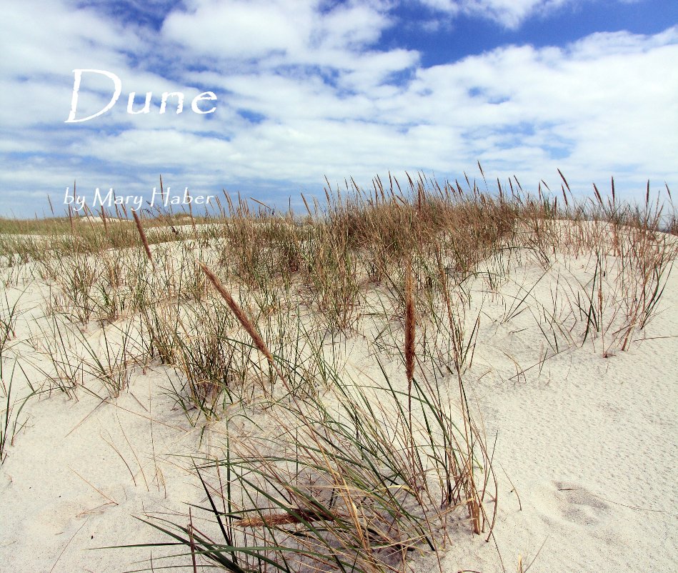 View Dune by Mary Haber by Mary Haber