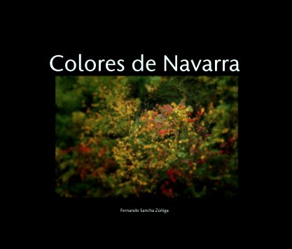 Colores de Navarra book cover