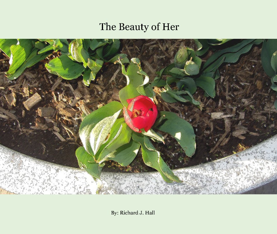 View The Beauty of Her by Richard J. Hall