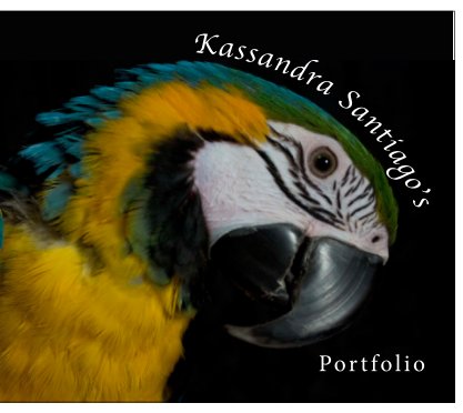 Kassandra's Portfolio book cover