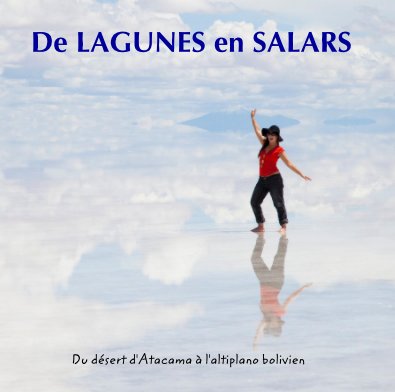 De LAGUNES en SALARS book cover