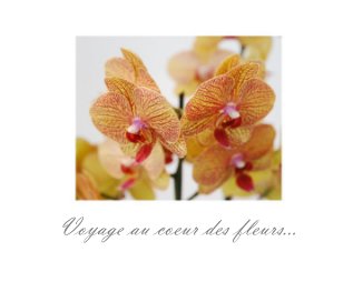 Voyage au coeur des fleurs... book cover