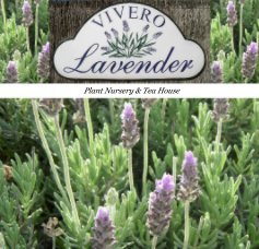 VIVERO LAVENDER book cover