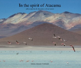 In the spirit of Atacama alla scoperta di Atacama e di noi stessi Adriano, Edmond e Ferdinando book cover