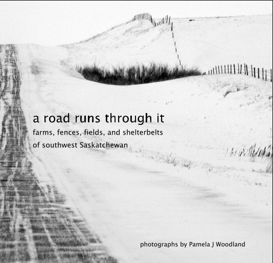 View a road runs through it by Pamela J Woodland