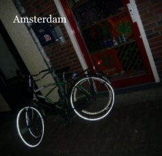 Amsterdam book cover