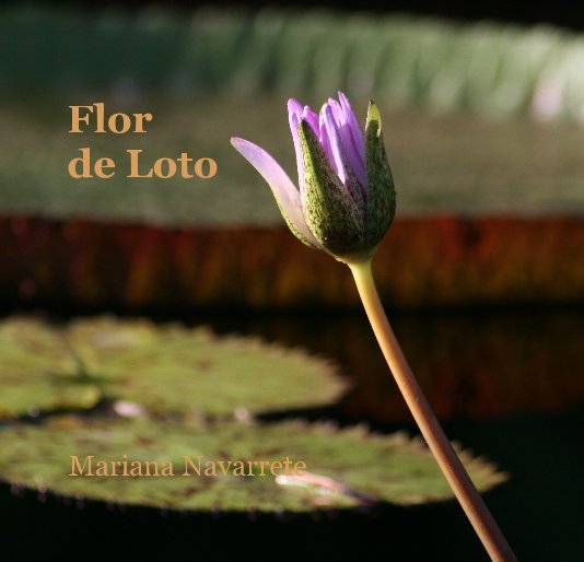 Flor de Loto nach Mariana Navarrete anzeigen