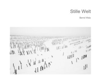 Stille Welt book cover