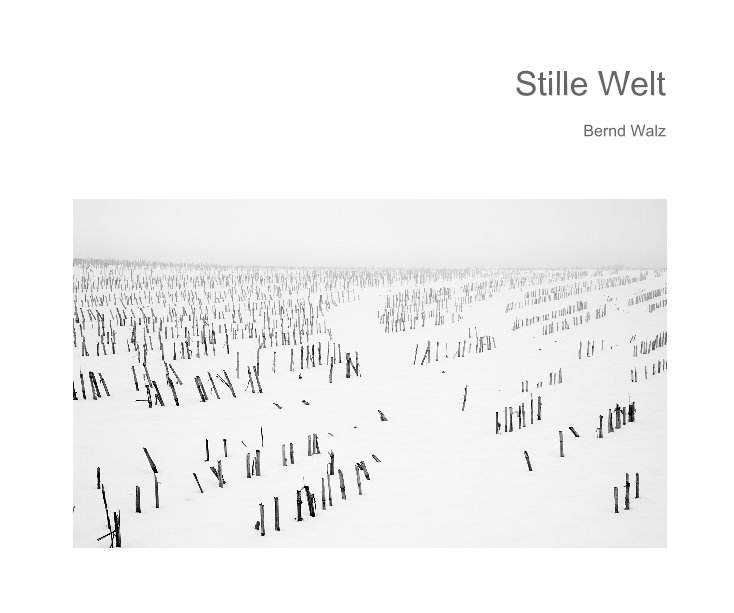 Visualizza Stille Welt di Bernd Walz