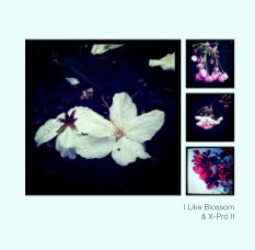 I Like Blossom
& X-Pro II book cover
